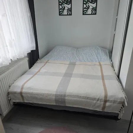 Mickiewicza Pruszcz Gdanski